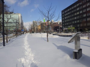 12月27日の大通ブロックの様子