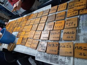 夏の間つけられていた樹名板