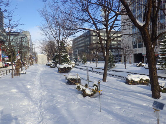 「2023年創成川公園のご利用ありがとうございました」の画像