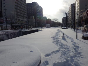 12月27日の南3条狸二条広場の様子