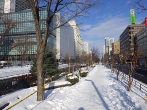 令和6年1月4日の北1条園路の様子