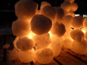 2020年1月に開催した創成川公園まちの灯りの様子