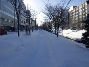 1月17日の南1条の園路の様子