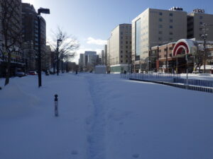 1月17日の狸二条広場の様子