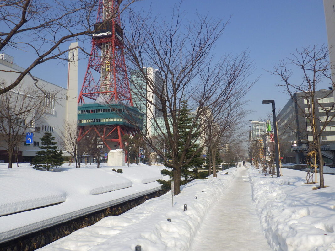 2月14日の南1条の園路の様子