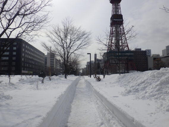 3月9日の北1条西園路除雪後の様子