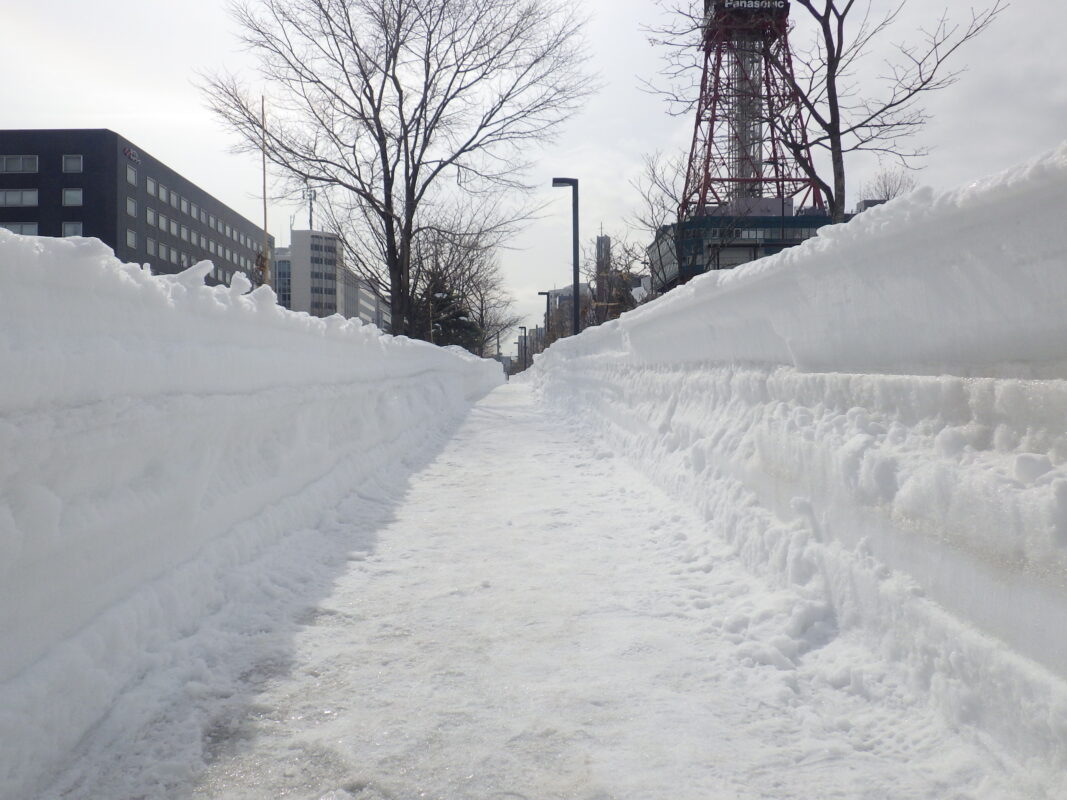北1条西園路の雪の壁の様子