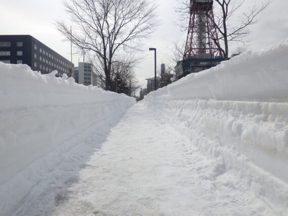 北1条西園路の雪の壁の様子