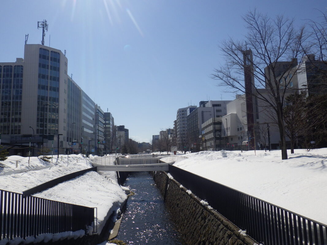 3月13日の大通ブロックスノーリングの様子