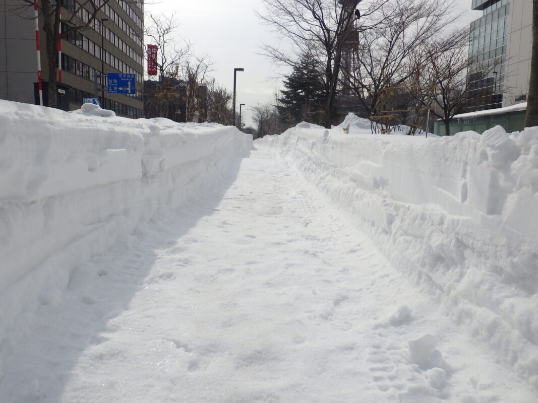 北2条東園路の雪の壁の様子