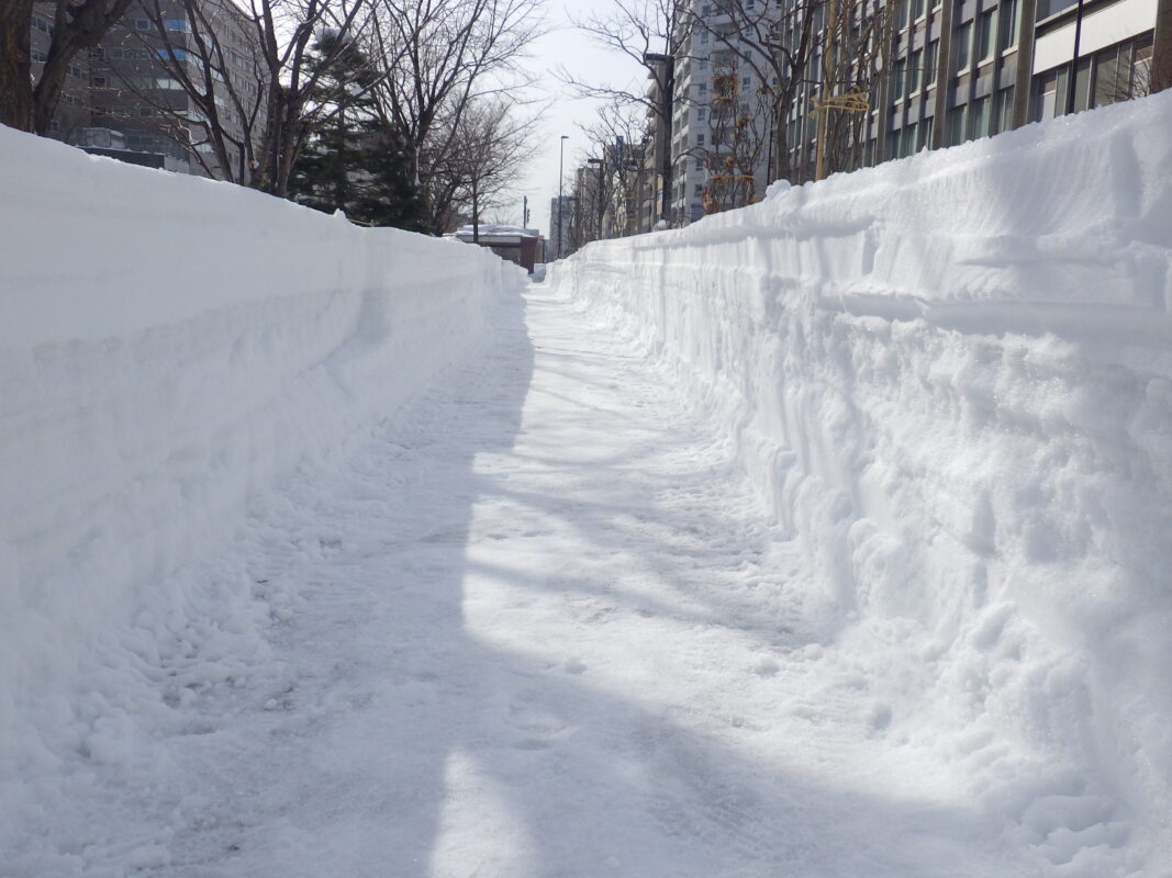 南1条西園路の雪の壁の様子