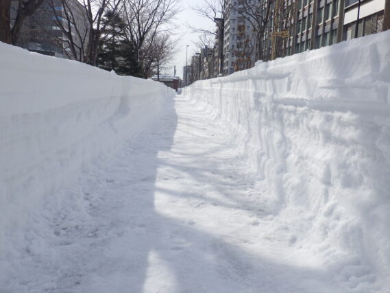 南1条西園路の雪の壁の様子