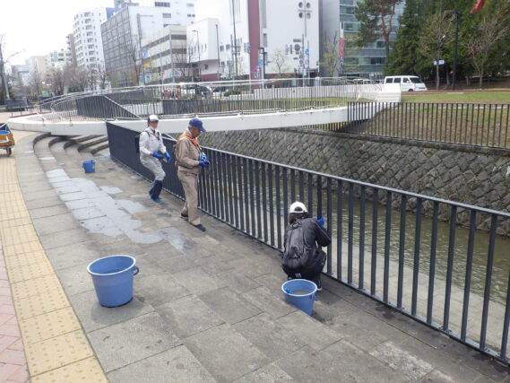 4月17日にフェンスの清掃をするお助け隊