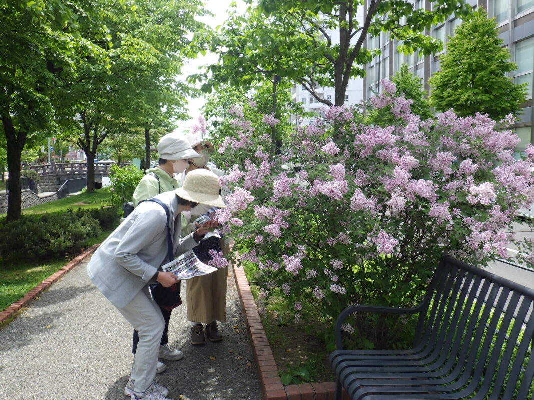 令和5年のまるわかりガイドツアーの様子