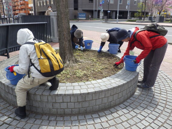 4月24日に円形ますの除草を行うお助け隊