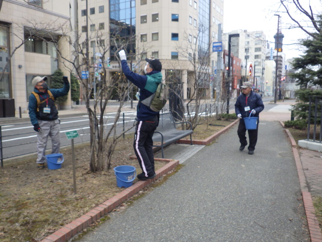 4月9日火曜日にライラックの枯れ枝剪定をする植物ボランティア