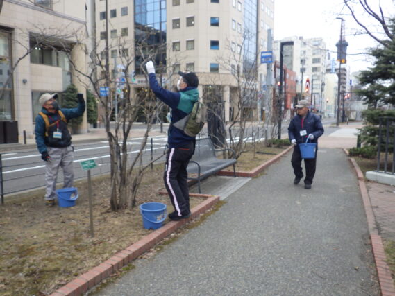 「今週の公園ボランティア活動」の画像