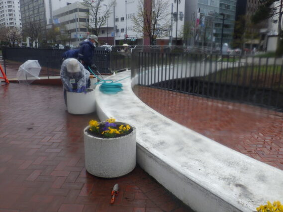 4月25日に雨の中コンテナ花壇の花植えを行う花くらぶ