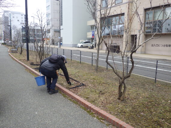 4月9日火曜日に枯れ枝拾いをする植物ボランティア