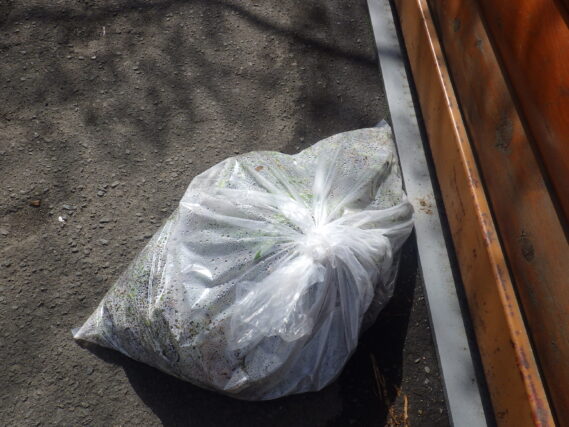 4月26日に除草ボランティアが取ってくれた雑草の入ったビニル袋の画像