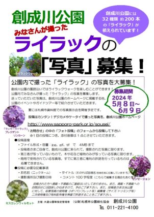 令和6年のライラックの写真募集のチラシ