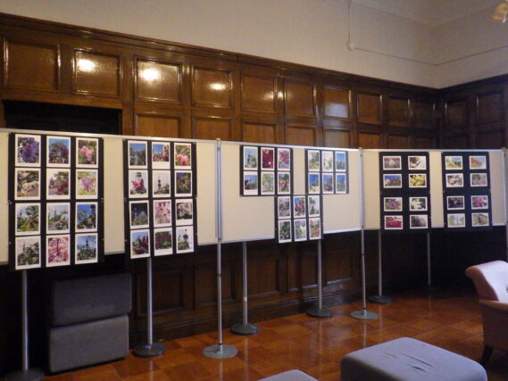 令和5年のライラック写真展の様子