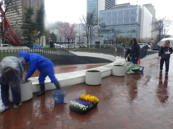 4月25日に雨の中コンテナ花壇の花植えを行う花くらぶと作業スタッフ