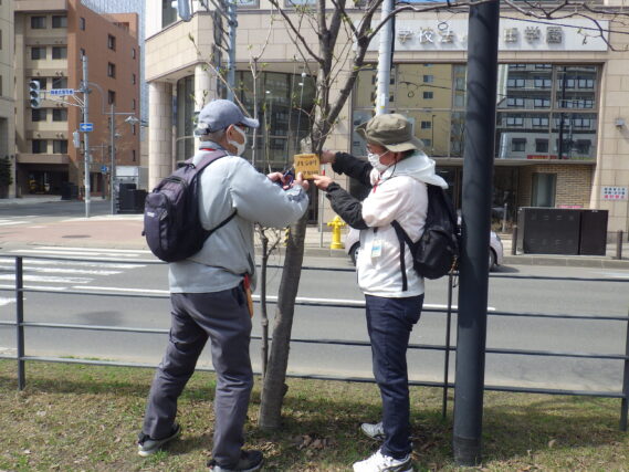 4月16日に樹名板付けの作業をする植物ボランティア