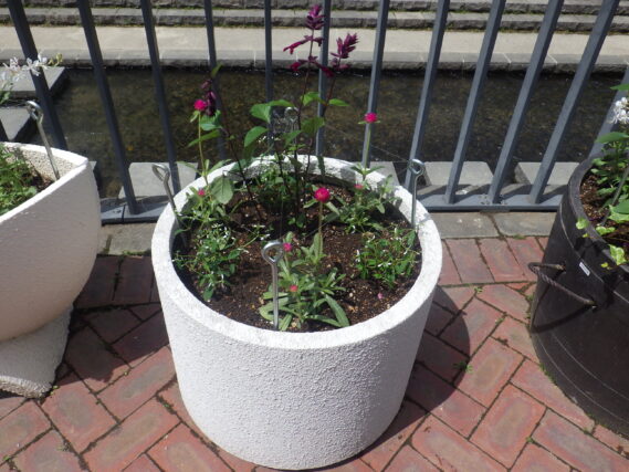 狸二条広場南側のコンテナ花壇の様子