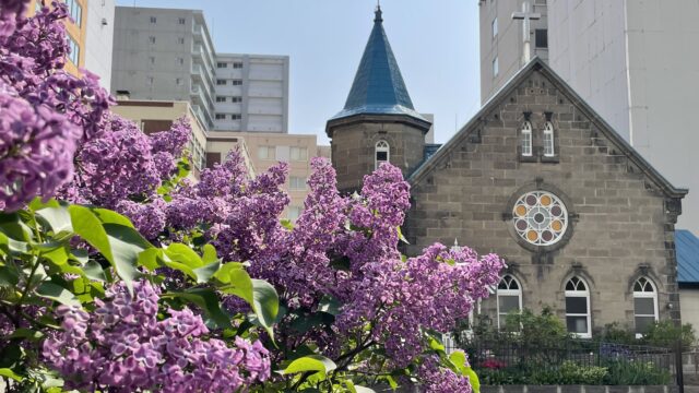 ライラック投稿写真　Yayoiさんの「朝の風景」