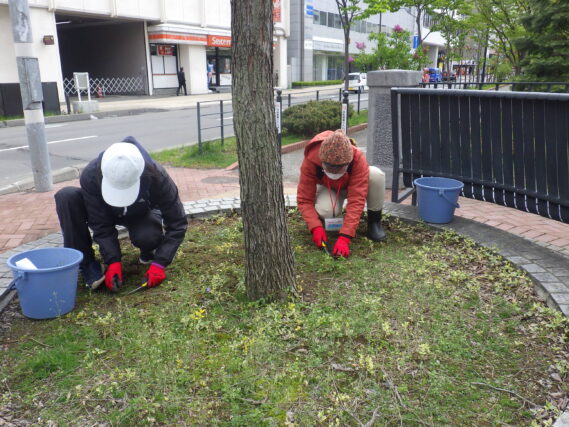 5月8日に円形ますの除草作業を行うお助け隊