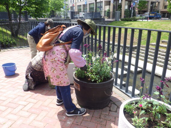 5月23日に花植えをする花くらぶ