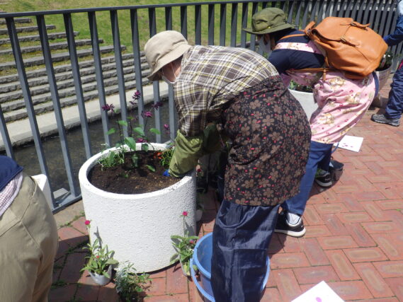 5月23日に花植えをする花くらぶ