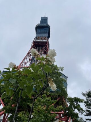 ライラック投稿写真　白澤さんの「寒の戻り」