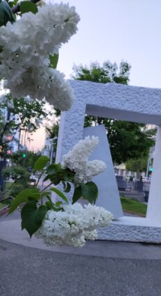 ライラック投稿写真　亜殊さんの「夕日を背に」