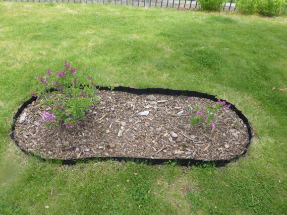 5月25日パリビンの様子