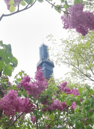 ライラック投稿写真　michioさんの「お化粧直し」