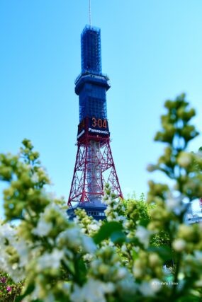 ライラック投稿写真　日野さんの「リラ冷えの街」