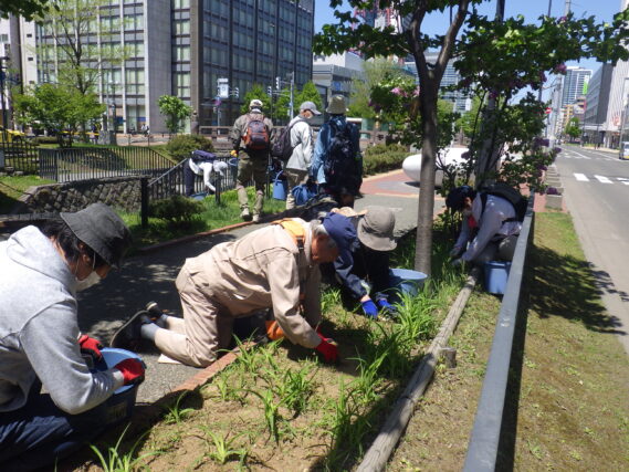 5月15日に花壇の除草をするお助け隊