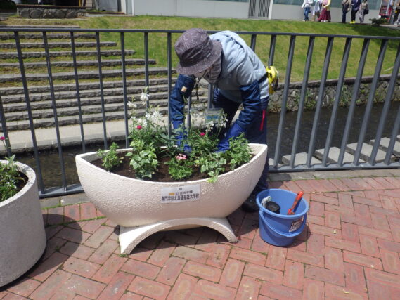 5月23日に花植えをする花くらぶ