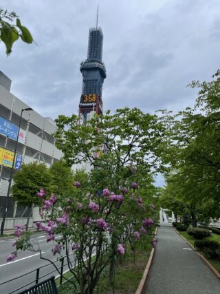 ライラック投稿写真　７rsさんの「創成川からのテレビ塔」