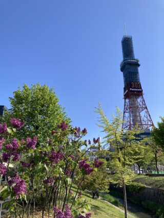 ライラック投稿写真　日野久美さんの「春の芳香」