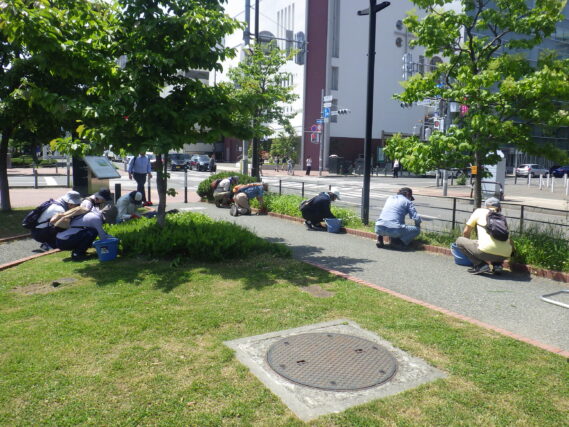 6月12日に花壇の除草をするお助け隊