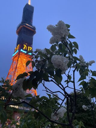 ライラック投稿写真　りんごさんの「マダムフローレントステップマンとテレビ塔」