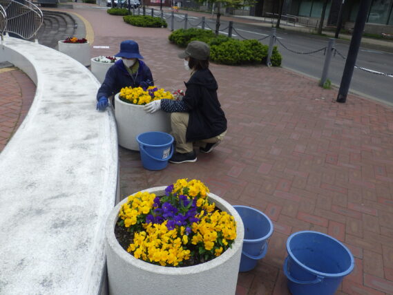 5月30日にコンテナ花壇のお手入れをする花くらぶ