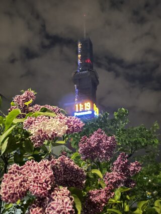 ライラック投稿写真　タケヤス倶楽部さんの「深夜のお散歩で」