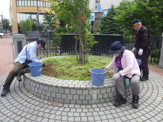 6月25日に円形ますの除草をする植物ボランティア