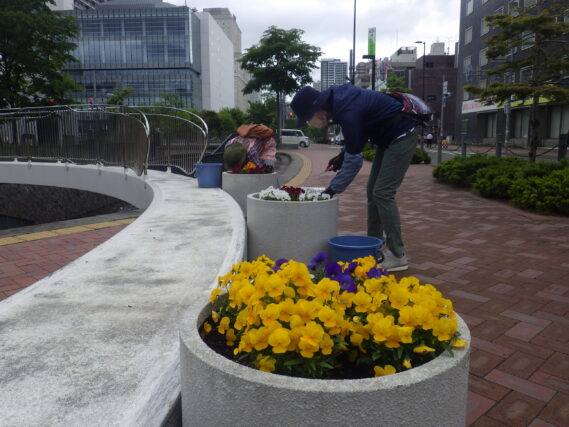 6月6日に花壇のお手入れをする花くらぶ