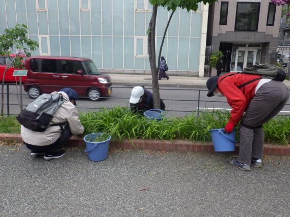 5月29日にヘメロカリス花壇の除草をするお助け隊