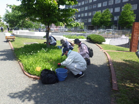 6月12日に花壇の除草をするお助け隊